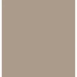 Peinture Spécial Bois MOSAÏK Haute Protection Beige moka