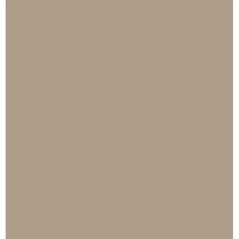 Peinture Spécial Bois MOSAÏK Haute Protection Beige moka