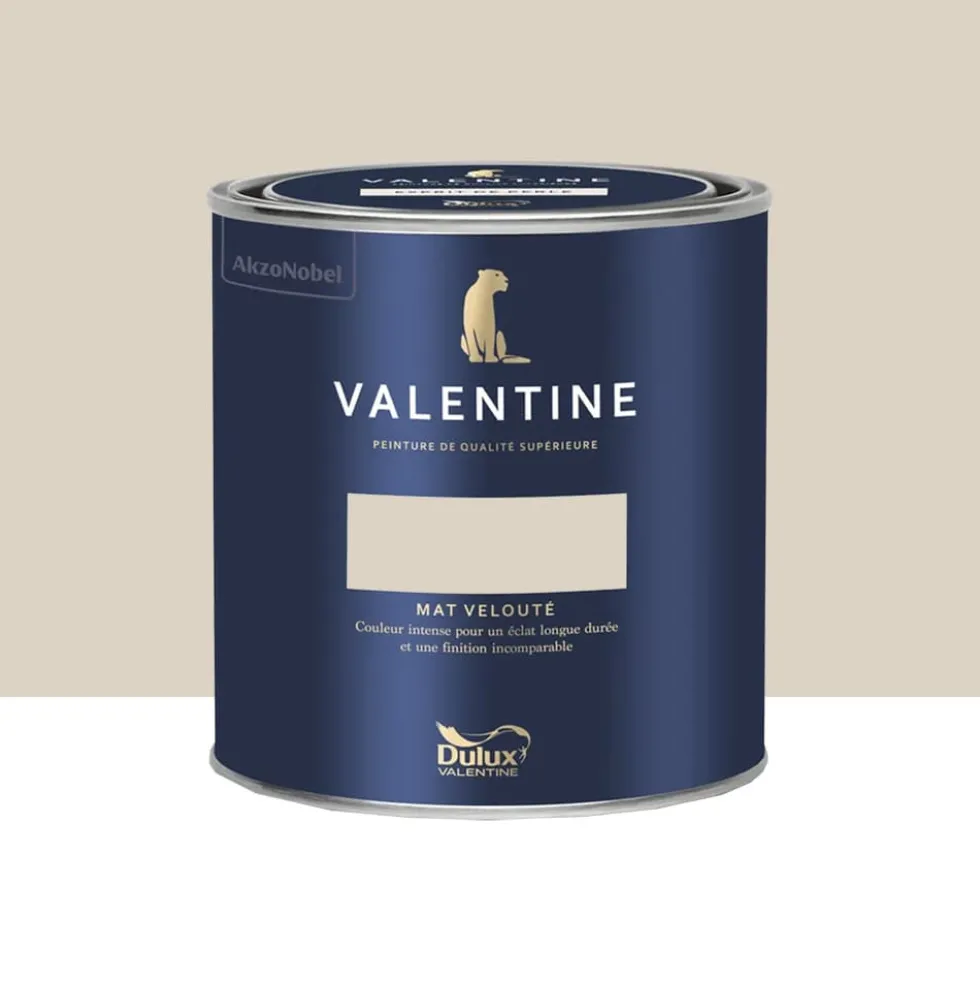 Peinture Valentine Murs et boiseries DULUX VALENTINE Eclat d'albâtre