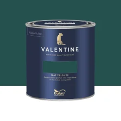 Peinture Valentine Murs et boiseries DULUX VALENTINE Vert persan