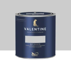 Peinture Valentine Murs et boiseries DULUX VALENTINE Esquisse cendrée