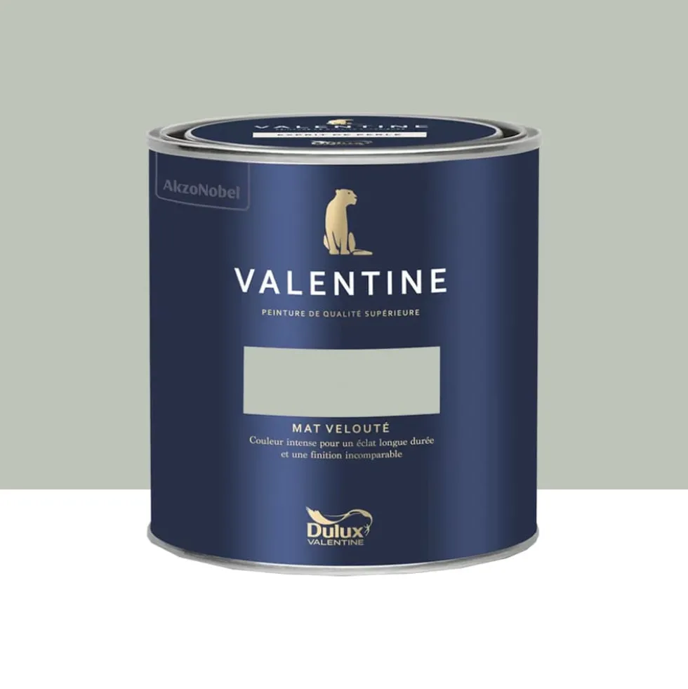 Peinture Valentine Murs et boiseries DULUX VALENTINE Douceur de l'aube