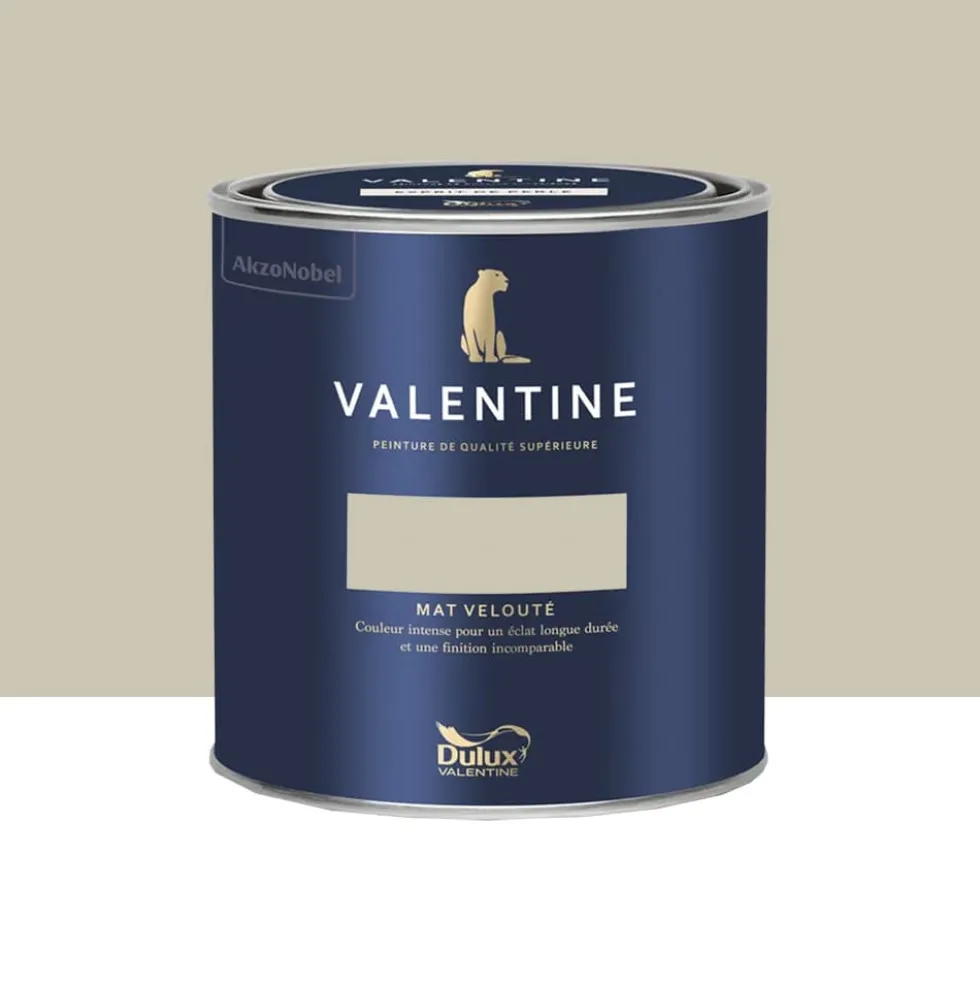 Peinture Valentine Murs et boiseries DULUX VALENTINE Murmure d'été