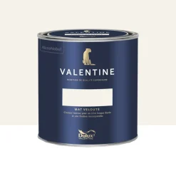 Peinture Valentine Murs et boiseries DULUX VALENTINE Blanc Taj Mahal
