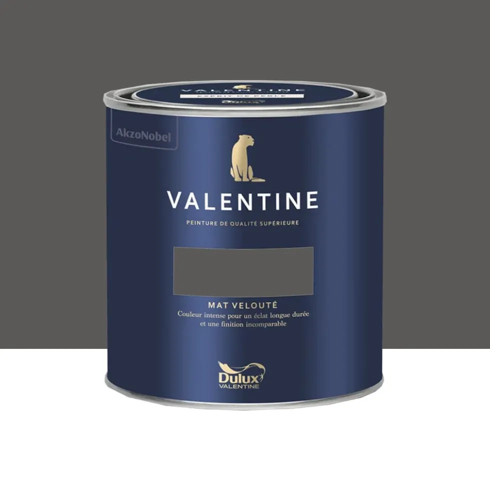 Peinture Valentine Murs et boiseries DULUX VALENTINE Noir magnetite