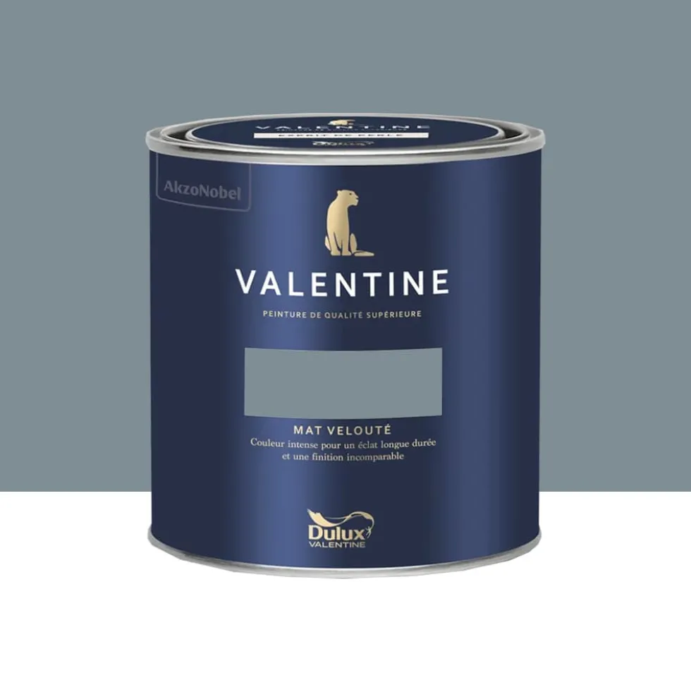 Peinture Valentine Murs et boiseries DULUX VALENTINE Equinoxe paisible