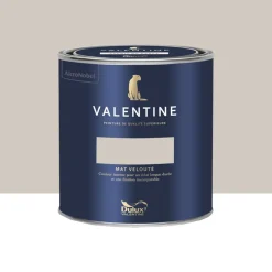 Peinture Valentine Murs et boiseries DULUX VALENTINE Beige alhambra