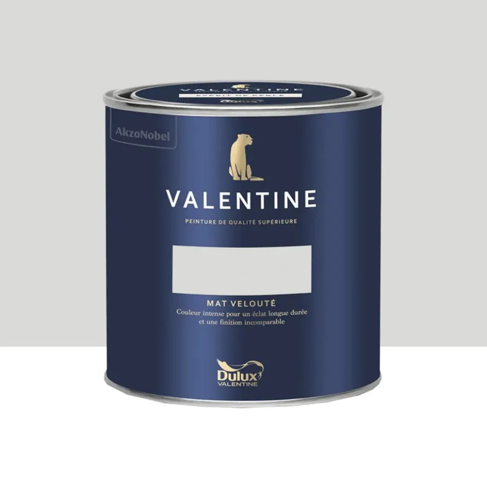 Peinture Valentine Murs et boiseries DULUX VALENTINE Blanc Frisson
