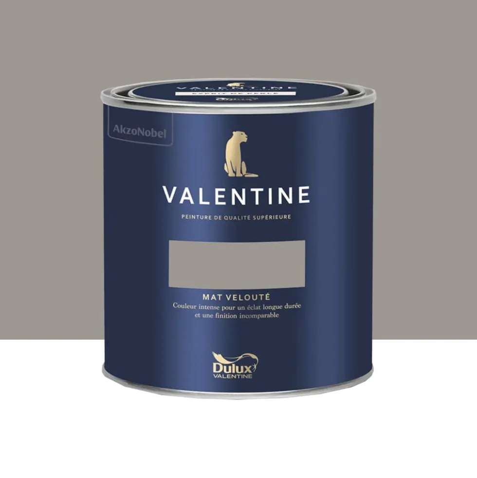 Peinture Valentine Murs et boiseries DULUX VALENTINE Gris chimère