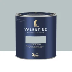 Peinture Valentine Murs et boiseries DULUX VALENTINE Myosotis timide