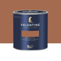 Peinture Valentine Murs et boiseries DULUX VALENTINE Alezan