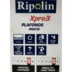 Peinture XPro3 Plafonds Pratic RIPOLIN blanc mat