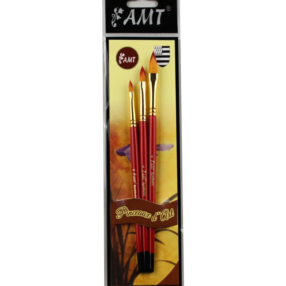 Pochette de 3 pinceaux d'art AMT (PDPH)