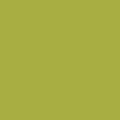RIPOLIN Peinture Attitude Récup' Vert granny satin 0,75L