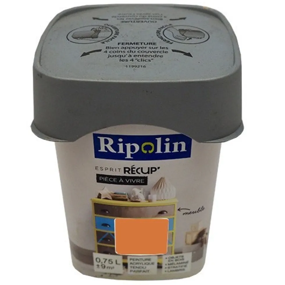 RIPOLIN Peinture Esprit Récup' Pièce à vivre Abricot