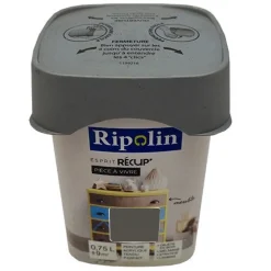 RIPOLIN Peinture Esprit Récup' Pièce à vivre Truffe