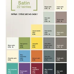 RIPOLIN Peinture Esprit Récup' Pièce à vivre Gris étain