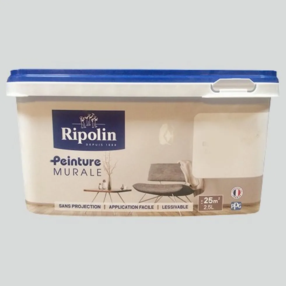 RIPOLIN Peinture Murale Gris souris Satin