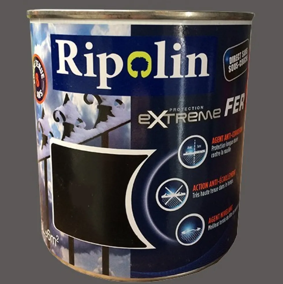 RIPOLIN Protection Extrême Fer Gris argenté
