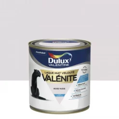 Testeur Mat Velouté Dulux Valentine Valénite Rose Nude