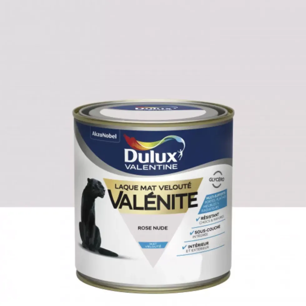 Testeur Mat Velouté Dulux Valentine Valénite Rose Nude