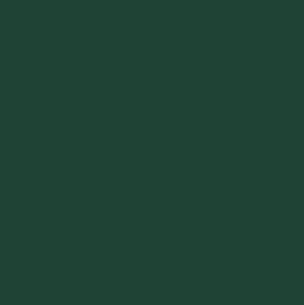 Théodore Pro'G Peinture Bois & Fer Vert jardin