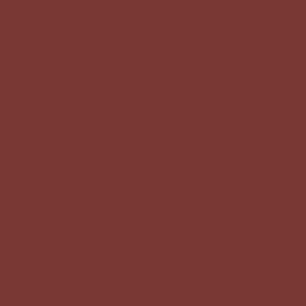 Théodore Pro'G Peinture Bois & Fer Rouge Basque