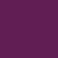 TOLLENS Peinture acrylique multi-usages "Couleur Plurielle" satin Palpitante