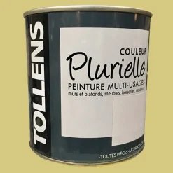 TOLLENS Peinture acrylique multi-usages "Couleur Plurielle" satin Inattendue