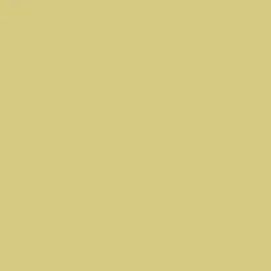 TOLLENS Peinture acrylique multi-usages "Couleur Plurielle" satin Inattendue