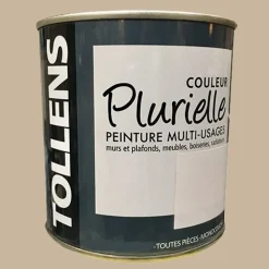 TOLLENS Peinture acrylique multi-usages "Couleur Plurielle" satin Chic
