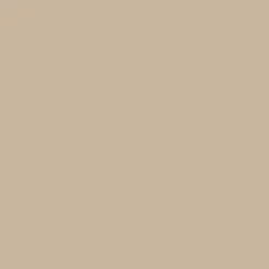 TOLLENS Peinture acrylique multi-usages "Couleur Plurielle" satin Chic