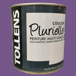 TOLLENS Peinture acrylique multi-usages "Couleur Plurielle" satin Envoûtante