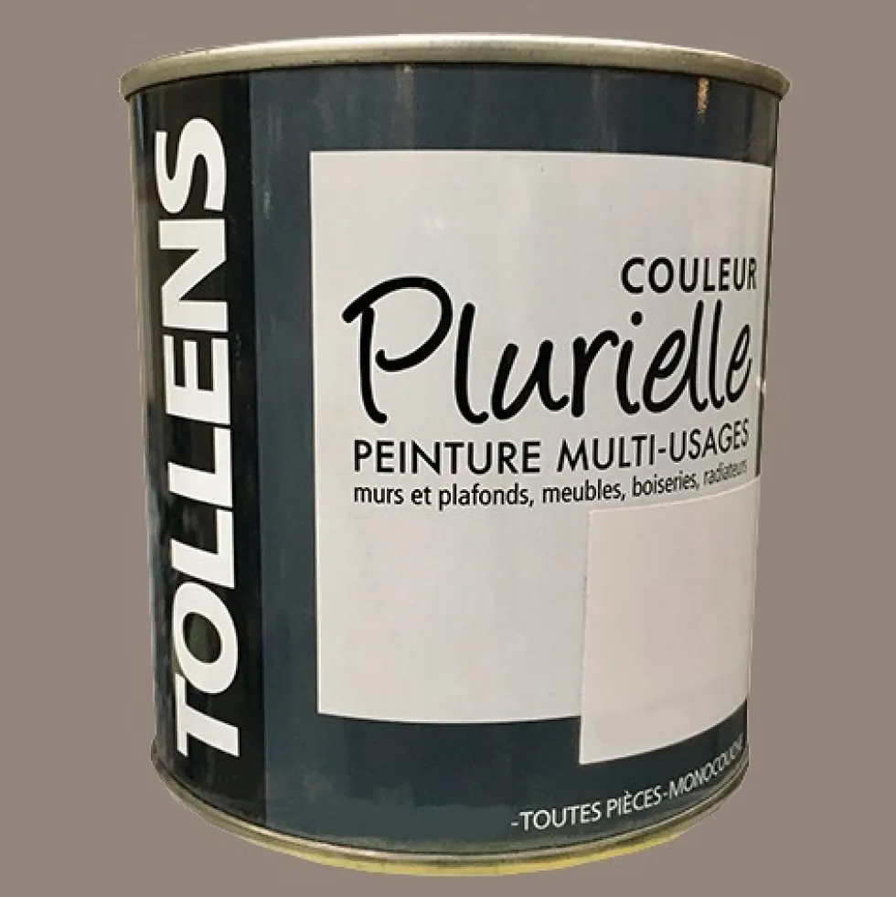 TOLLENS Peinture acrylique multi-usages "Couleur Plurielle" satin Distinguée