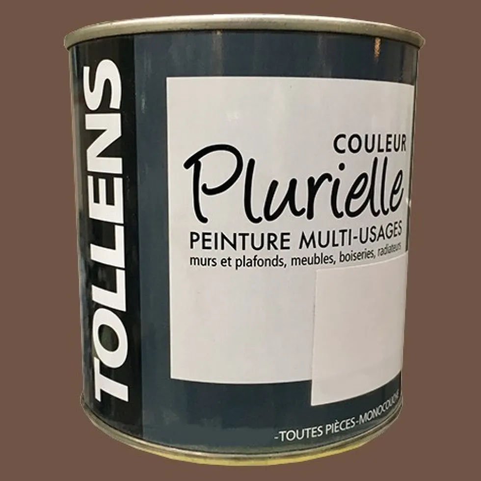 TOLLENS Peinture acrylique multi-usages "Couleur Plurielle" satin Corsée