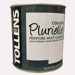 TOLLENS Peinture acrylique multi-usages "Couleur Plurielle" satin Précieuse