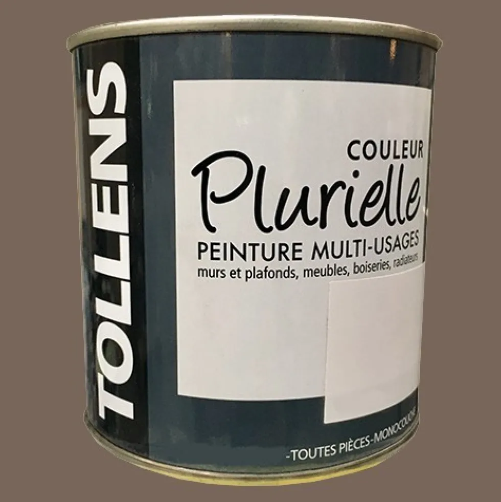 TOLLENS Peinture acrylique multi-usages "Couleur Plurielle" mat Sauvage
