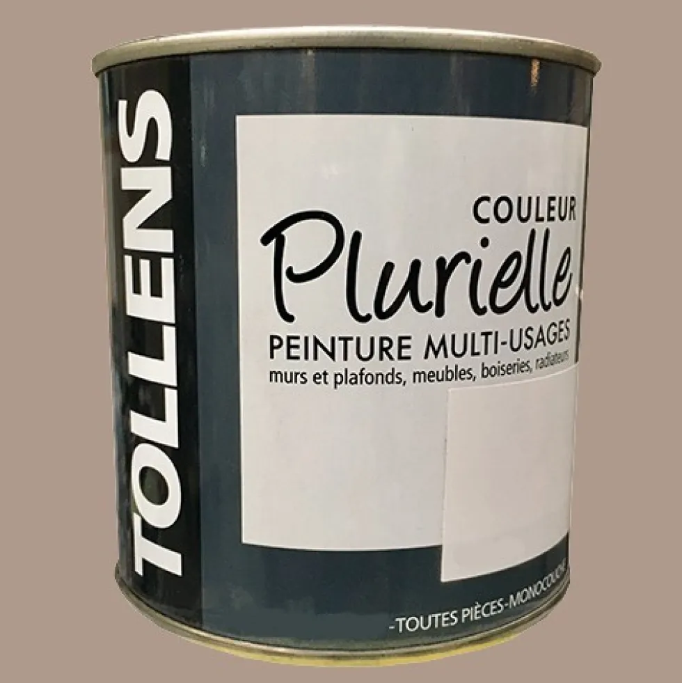 TOLLENS Peinture acrylique multi-usages "Couleur Plurielle" mat Epicée