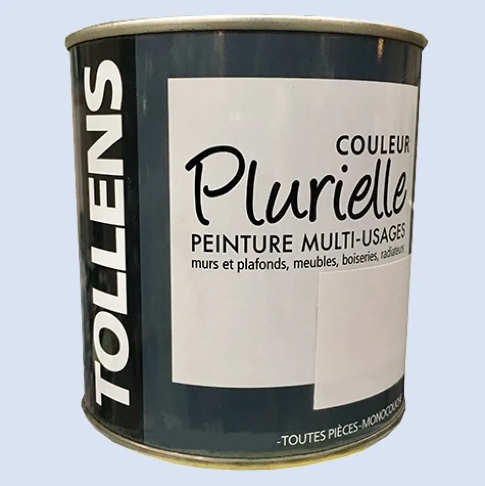 TOLLENS Peinture acrylique multi-usages "Couleur Plurielle" mat Rêveuse