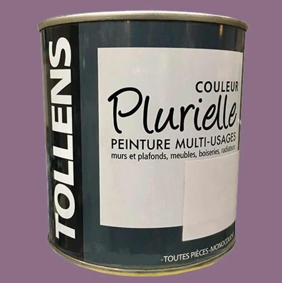 TOLLENS Peinture acrylique multi-usages "Couleur Plurielle" mat Ravissante
