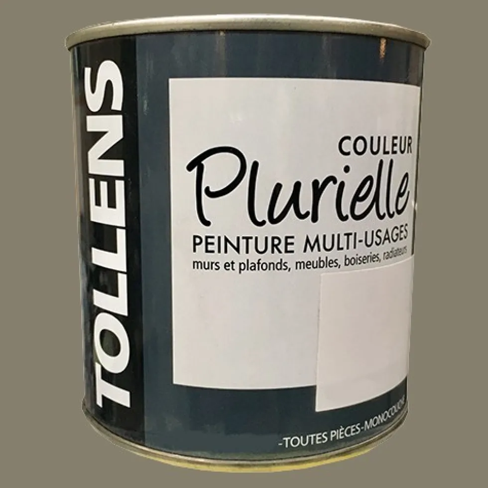 TOLLENS Peinture acrylique multi-usages "Couleur Plurielle" mat Espiègle