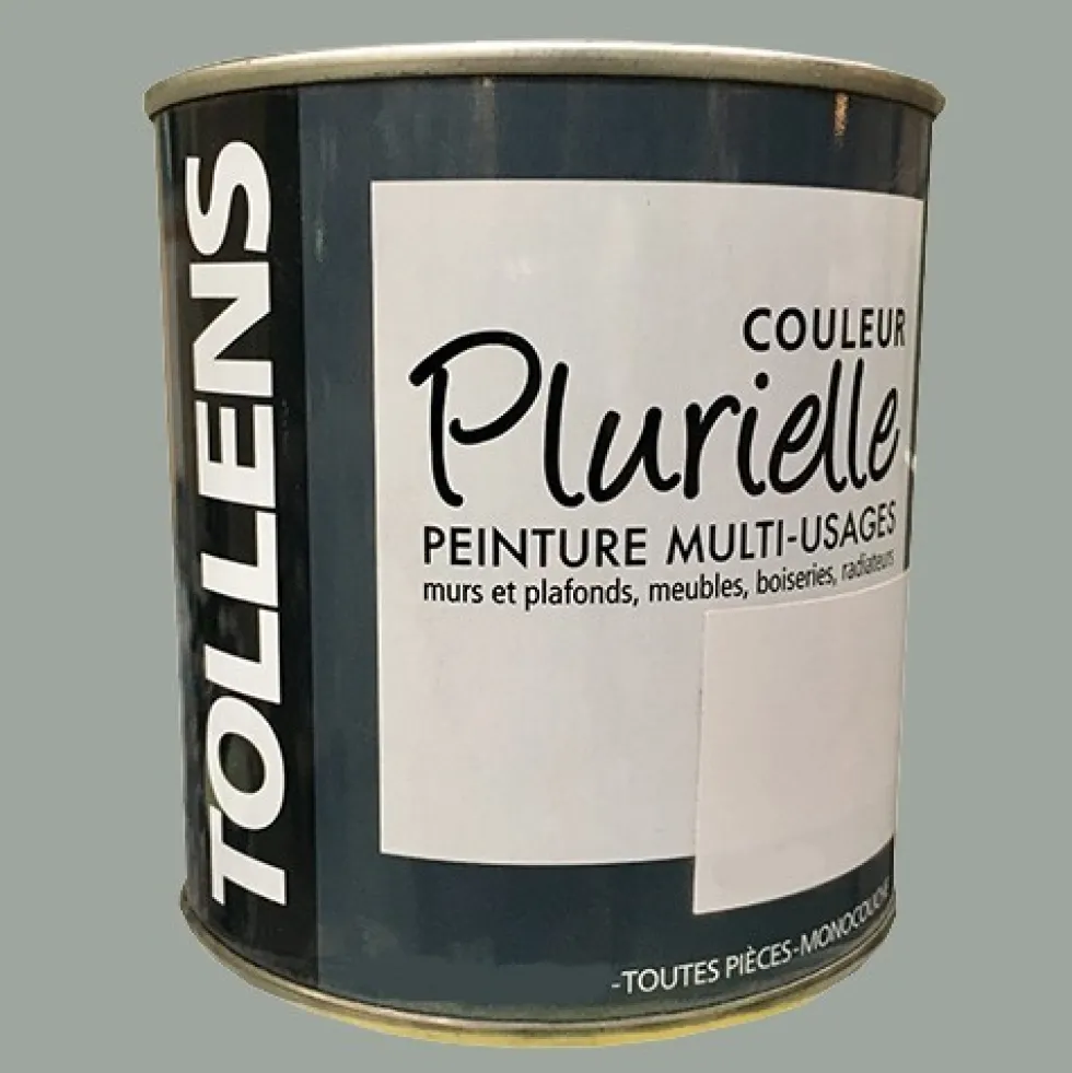 TOLLENS Peinture acrylique multi-usages "Couleur Plurielle" mat Insolite