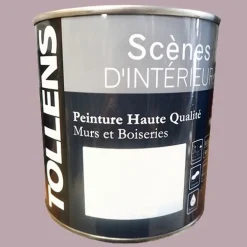 TOLLENS Peinture acrylique "Scènes d'intérieur" Satin Bruyère