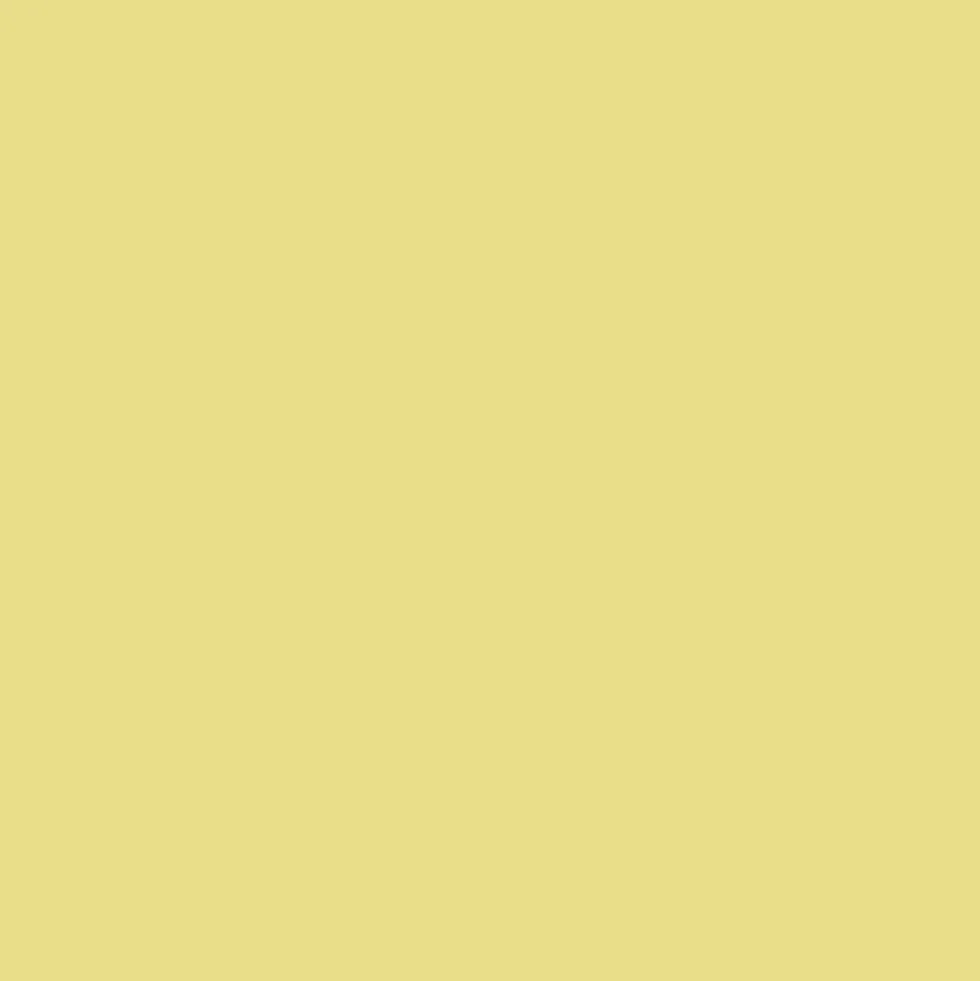 TOLLENS Peinture Prestige Premium Satin Laqué Vert anis